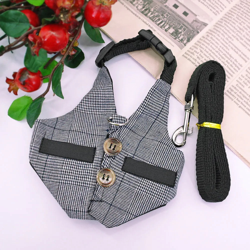 Grey cloth rabbit leash with dress in three sizes S M L chest strap