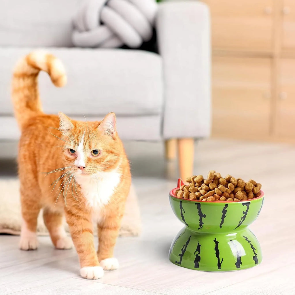 Ceramic raised cat bowl with tilted design in orange pattern, showing elevated feeding position