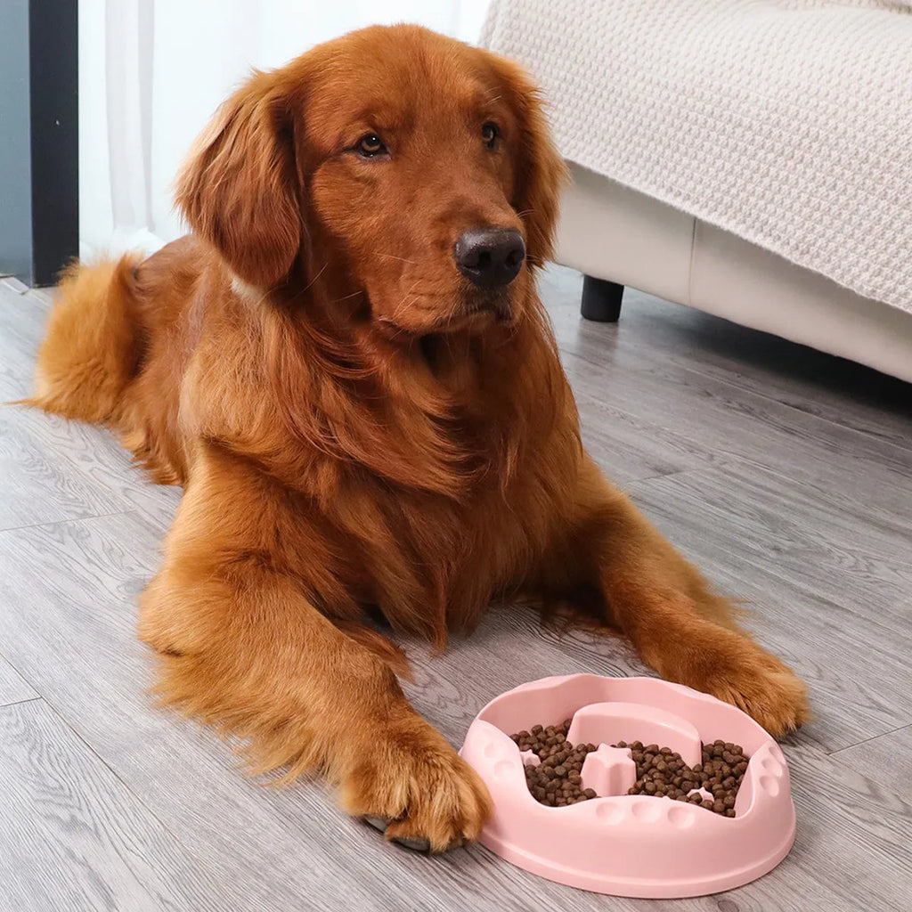 Moon Star Wings slow feeder dog bowl in blue colour with raised obstacles and anti-slip base.