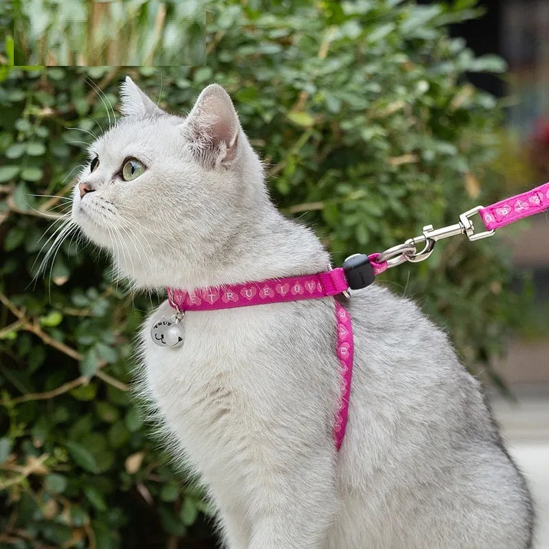 Pet cat bell chest strap harness with lead in blue, polyester jacquard mesh, adjustable size for small dogs