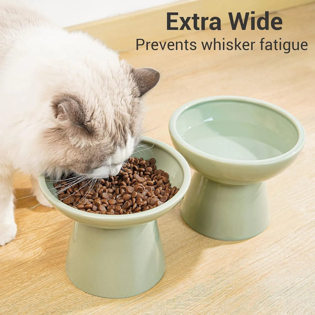 Elevated ceramic cat bowl with wide shallow dish for whisker fatigue prevention