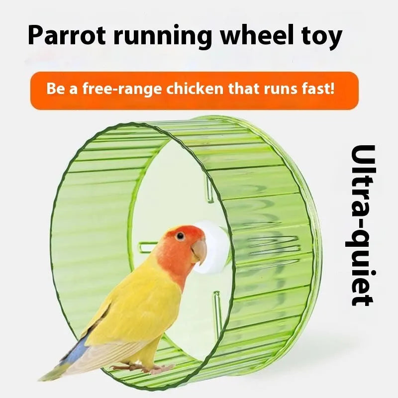 Plastic parrot running wheel toy for bird exercise in multiple colours and sizes