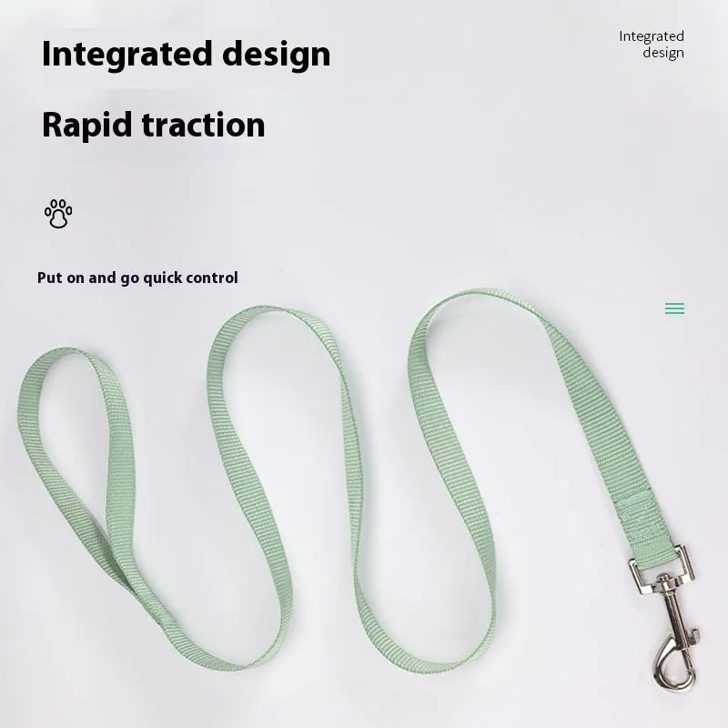 Solid colour polyester dog lead with hand-holding rope design shown in blue colour option