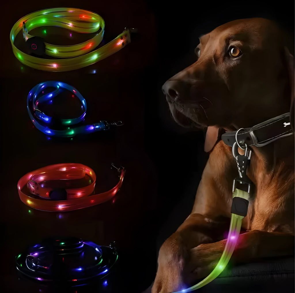 Bright orange luminous PVC dog lead and adjustable collar set shown coiled, 120cm long.