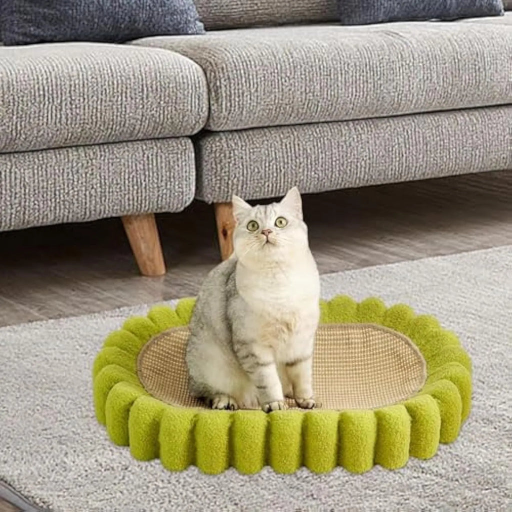 Green oval cat scratcher bed with sisal scratching surface measuring 65x42cm
