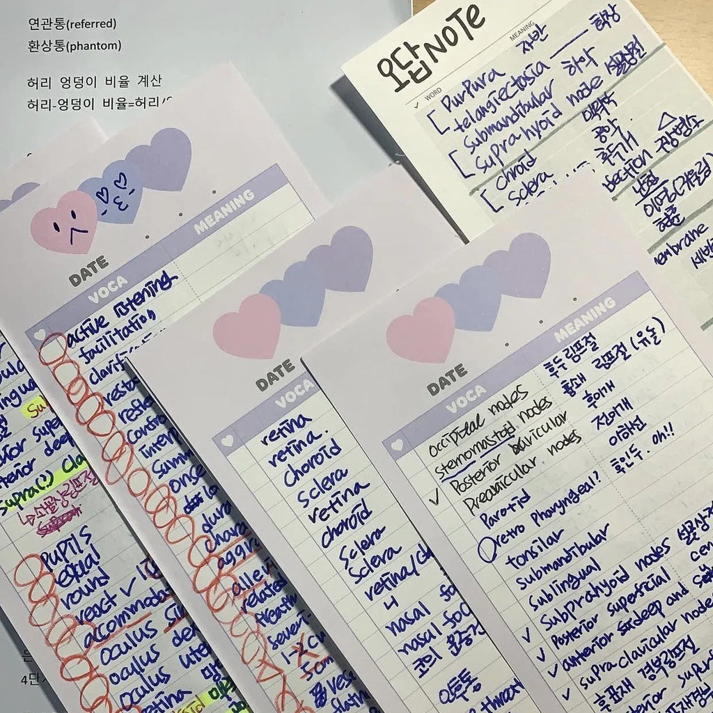 B5 half-size English learning notepad with double-sided printing and coloured cover