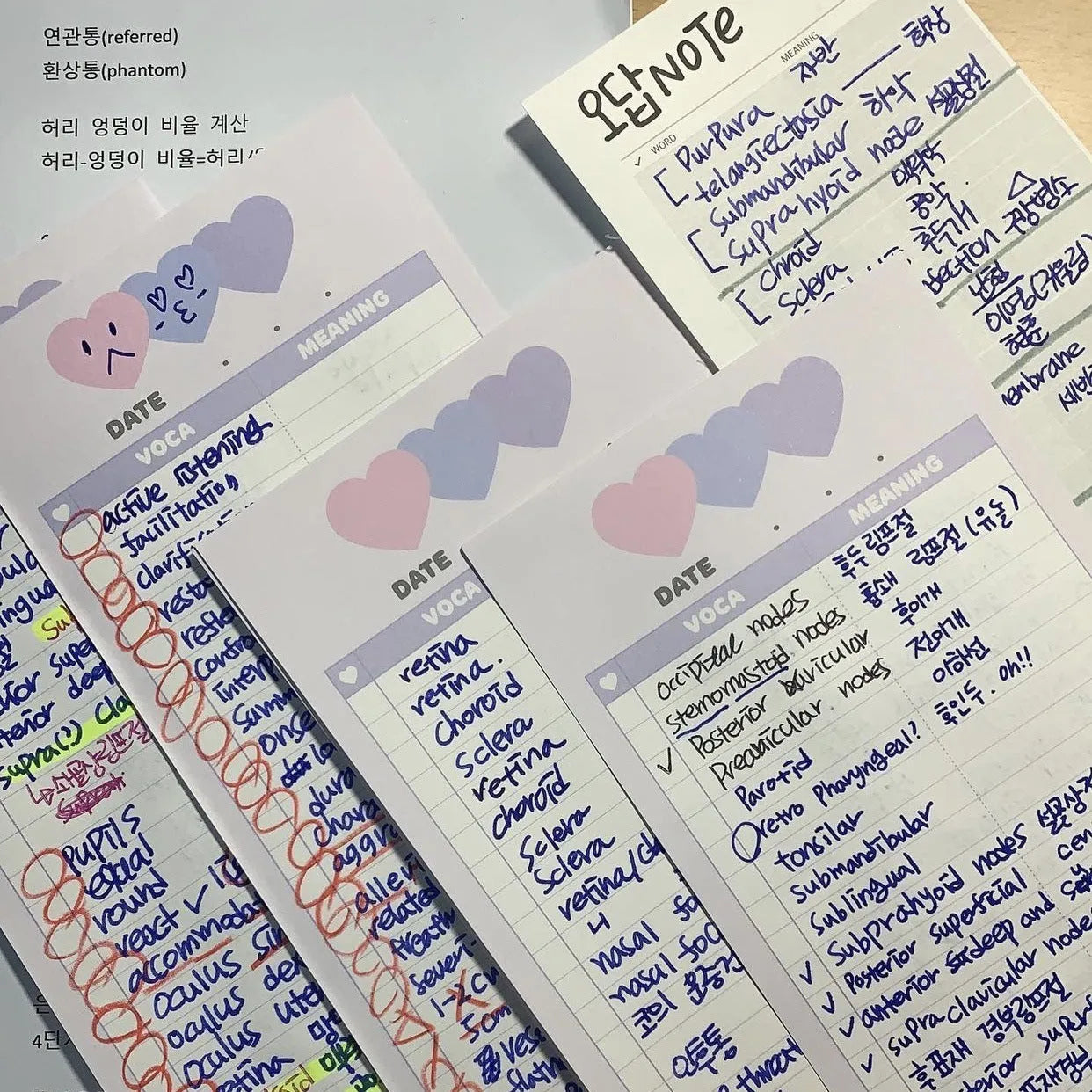 B5 half-size English learning notepad with double-sided printing and coloured cover