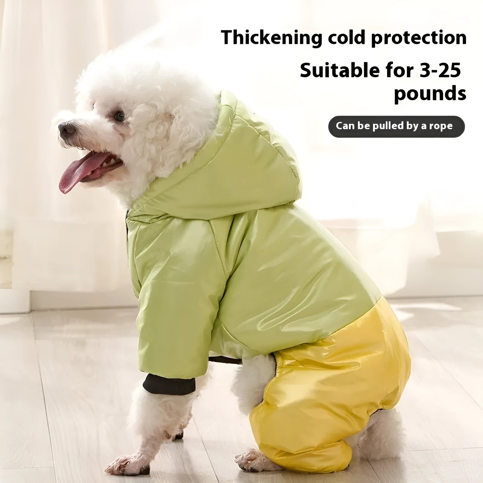 Green waterproof dog winter coat with four-leg design on medium-sized dog