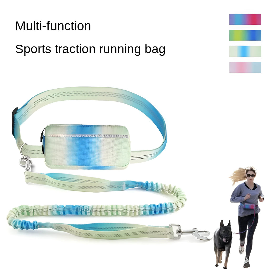 Hands-free adjustable dog leash with reflective traction rope and waist belt in blue