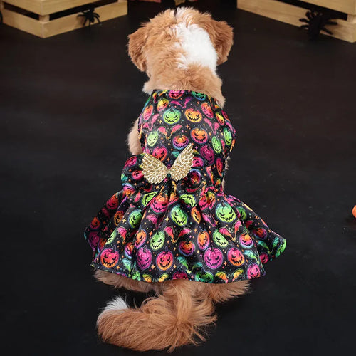 Halloween dog costume with angel wings in bright pumpkin or bright bat colours