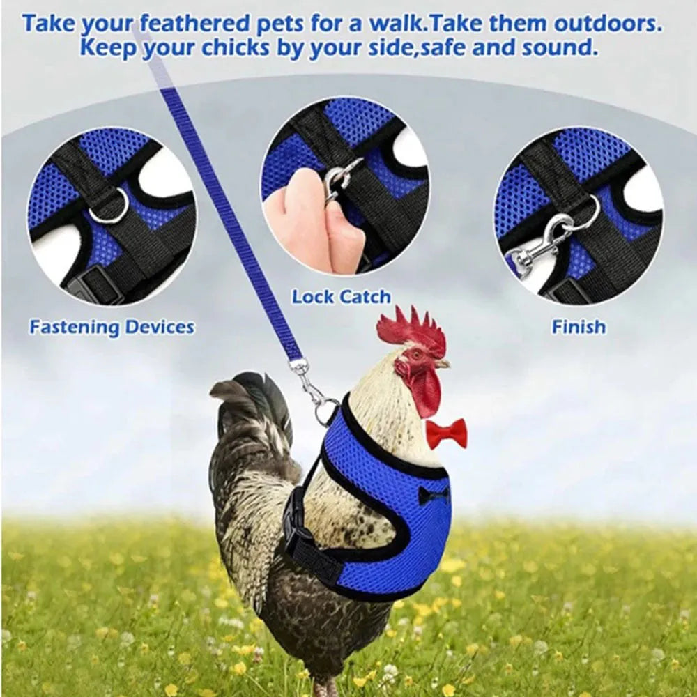 Chicken harness vest with decorative bow collar and traction rope for poultry pet control