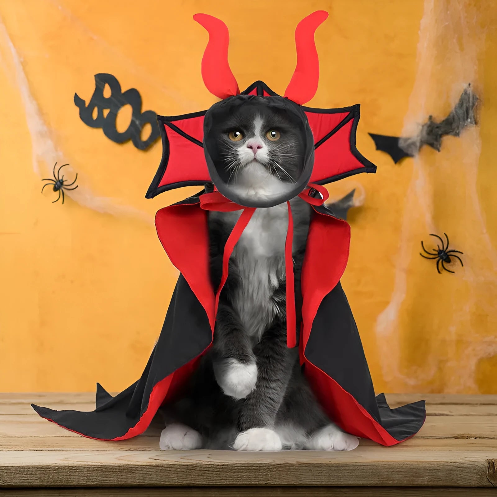 Black polyester vampire cloak and hat pet Halloween costume on a mannequin, size U.