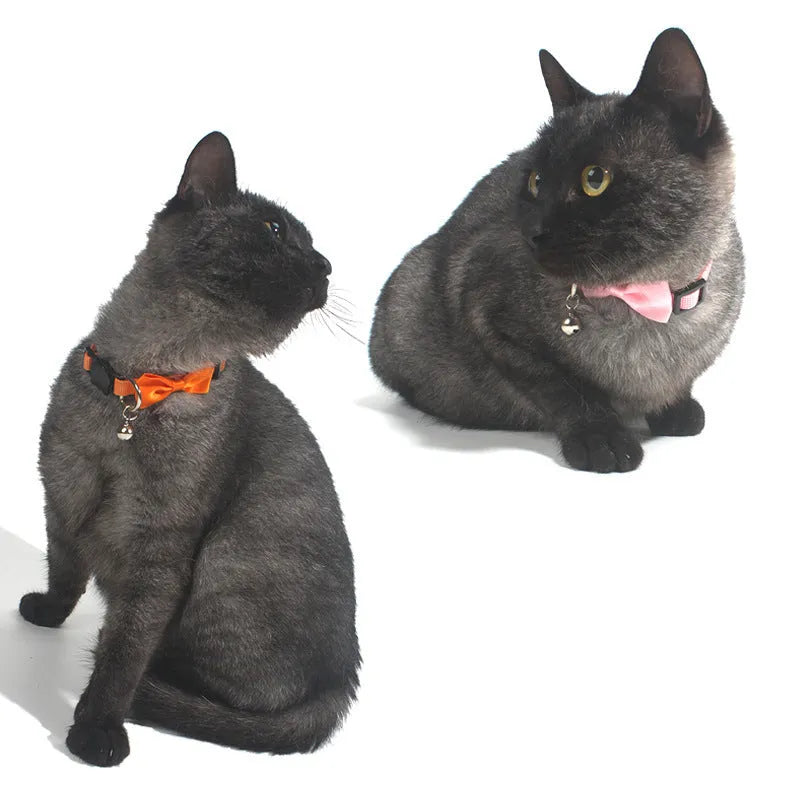 Striped adjustable nylon cat collar with bell in multiple bright colour options