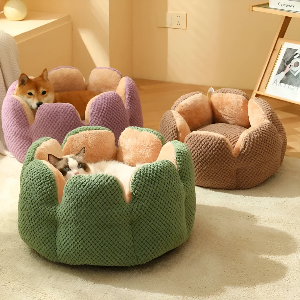 Cactus petal shape pet bed in plush material with sheltered design and non-slip base