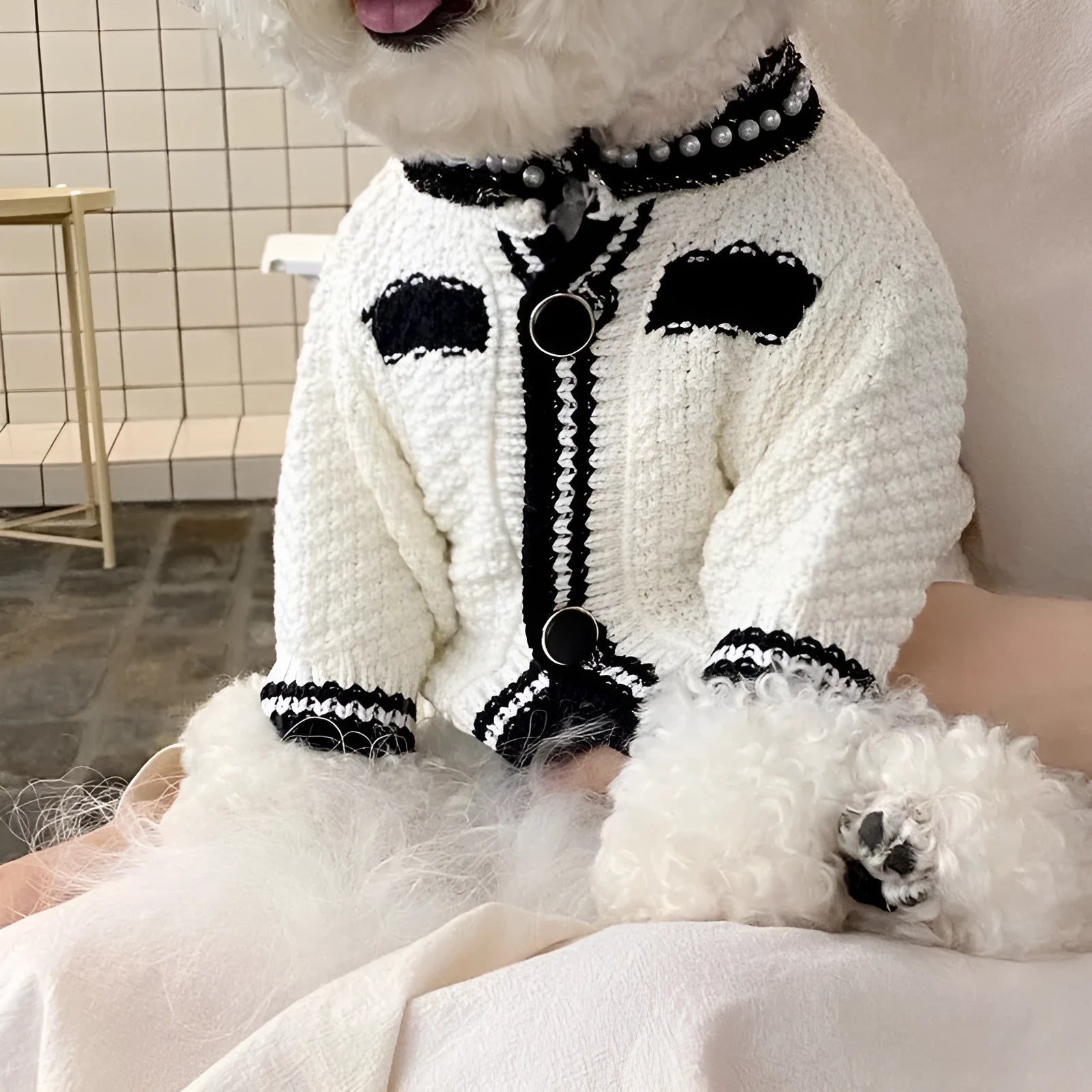 Korean style pearl collar dog sweater in black and white colours for small dogs