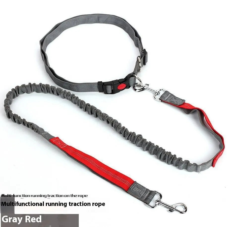 Elastic dog leash with reflective filament in two-tone colour combination, showing adjustable sling and standard clip attachment
