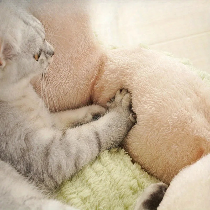 Green soft-lined cat litter kennel with four openings, shown next to a smaller purple version.