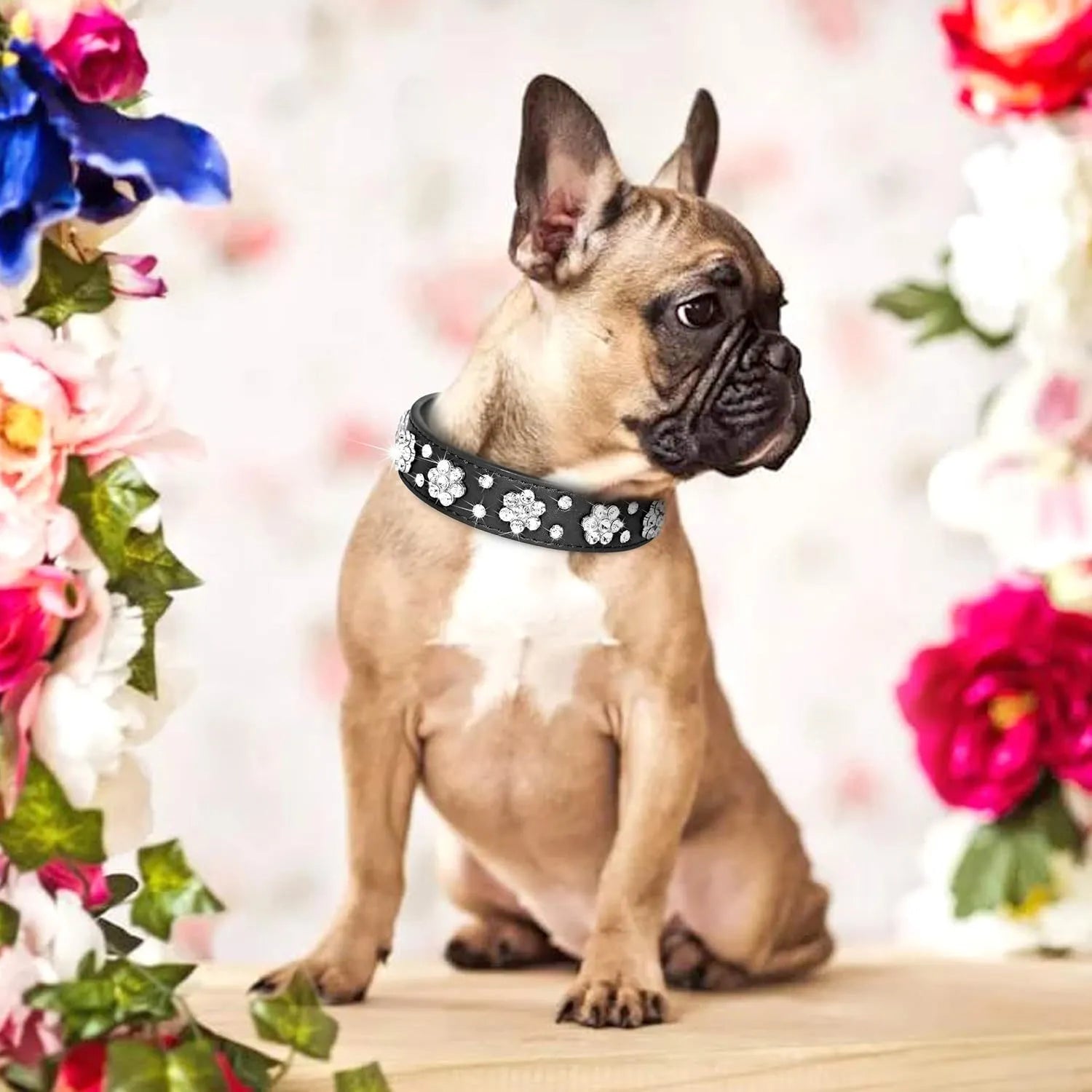 Decorative dog collar made of black PU leather with a pattern of rhinestone flowers and studs, showing the metal D-ring.