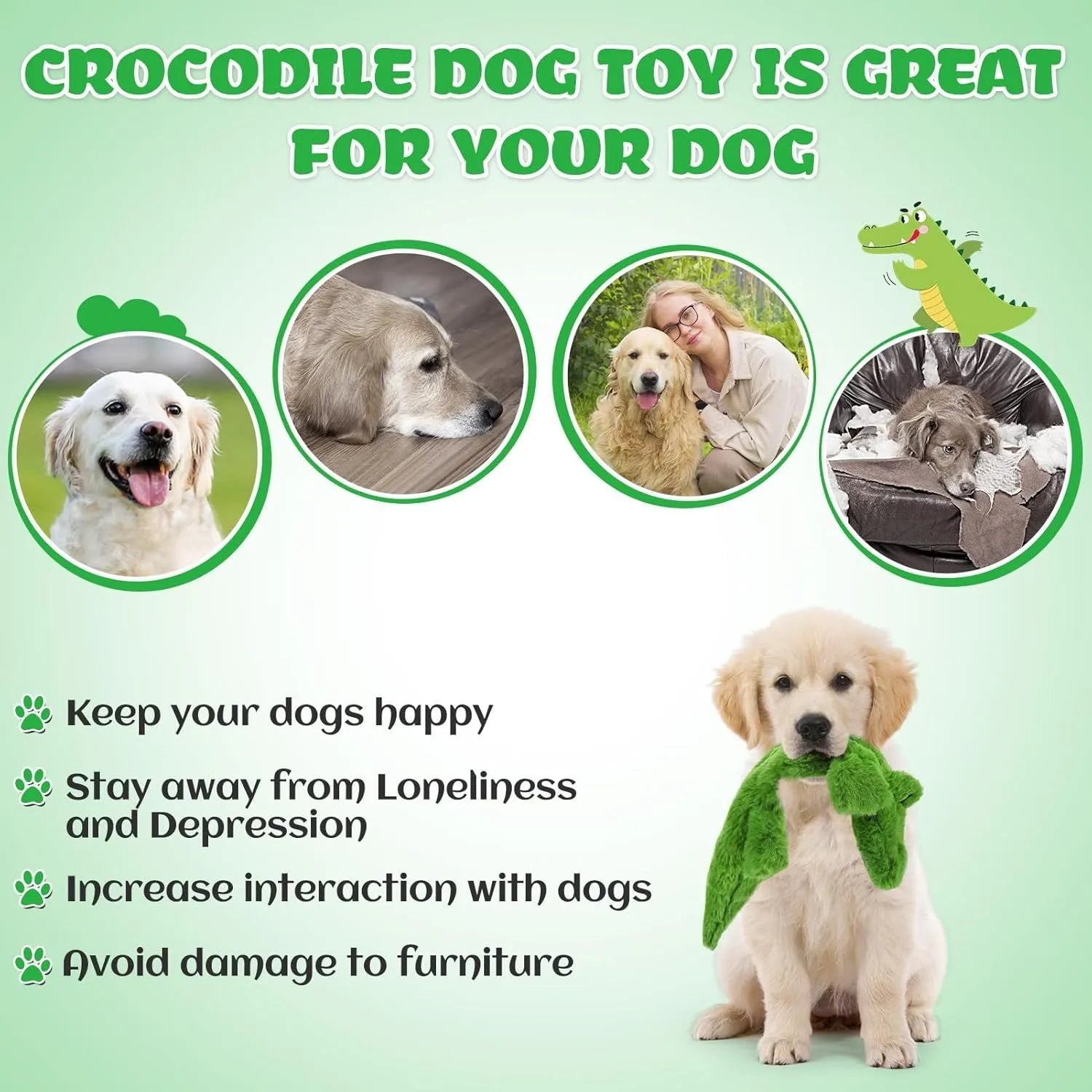 Green crocodile plush dog toy with no stuffing for safe chewing by small and medium dogs