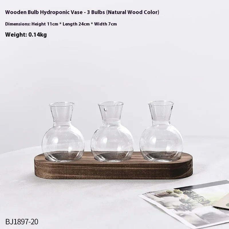 Transparent hydroponic vase in a wooden frame for modern plant display.