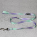 Nylon dog leash set with collar and harness in a pink and blue gradient colour.