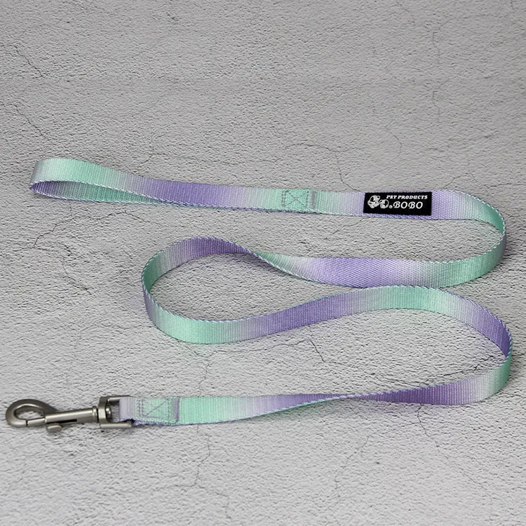 Nylon dog leash set with collar and harness in a pink and blue gradient colour.
