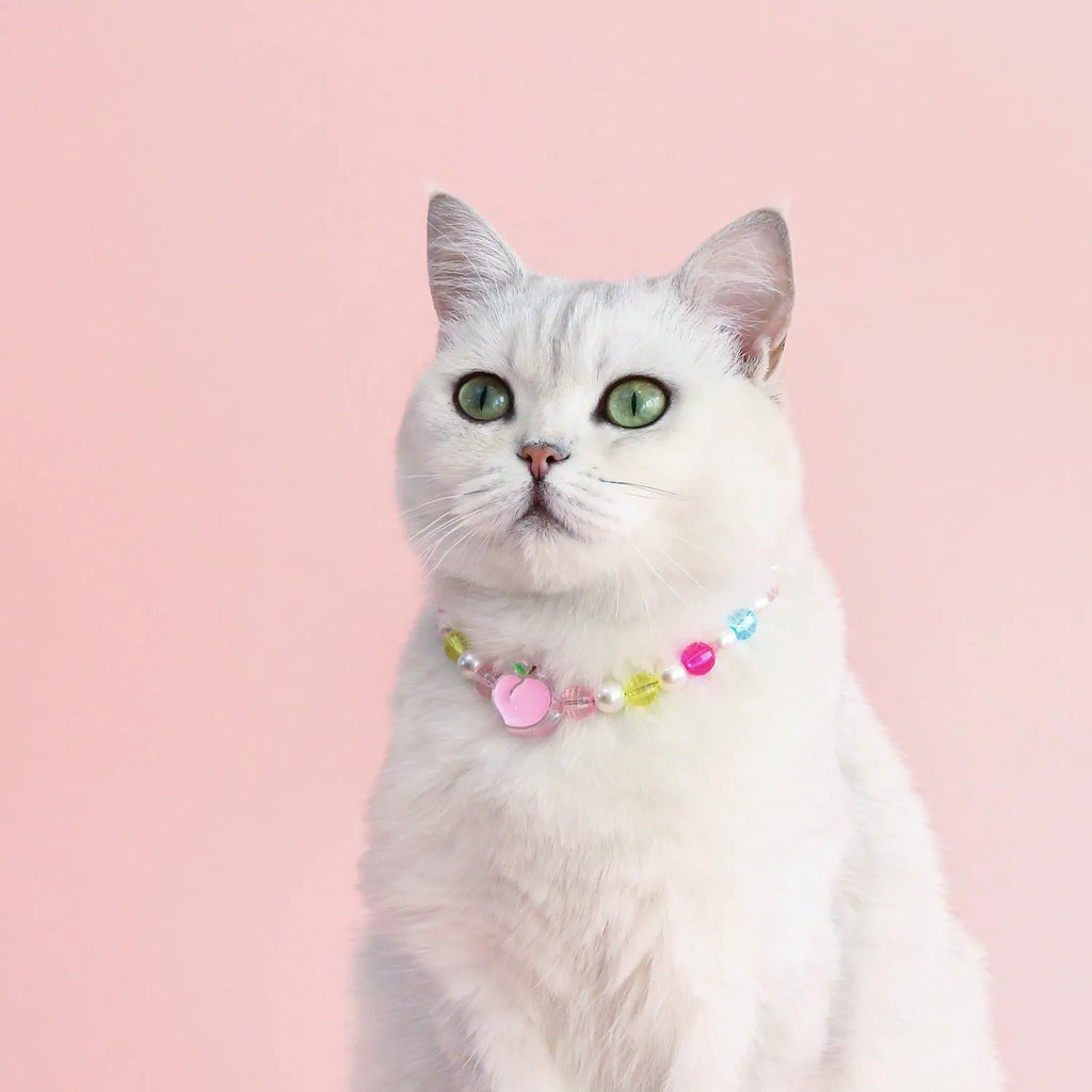 Colourful plastic bead cat necklace in rainbow, peach, or small flower pattern on a white background.